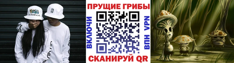 Галлюциногенные грибы MAGIC MUSHROOMS Энем